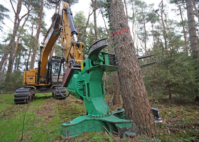 Scheper Lohnunternehmen Friesoythe - Woodcracker C350